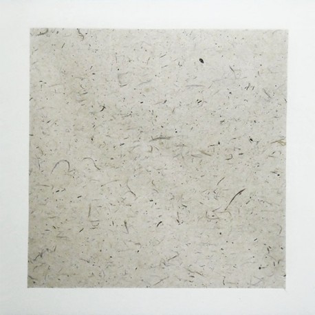 Рисовая бумага в паспарту на картоне, 33 x 32.7 см.