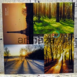 Открытки для посткроссинга «Bright Dawn», 10.5 × 14.4 см, 15 шт.